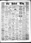 Daily British Whig (1850), 13 Apr 1878
