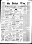 Daily British Whig (1850), 15 Apr 1878