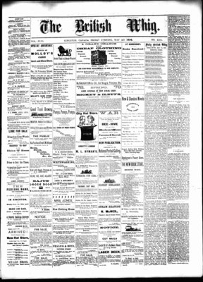 Daily British Whig (1850), 10 May 1878