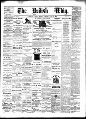 Daily British Whig (1850), 13 May 1878