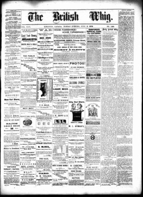 Daily British Whig (1850), 3 Jun 1878