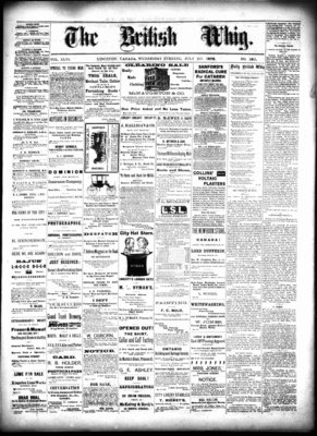 Daily British Whig (1850), 10 Jul 1878