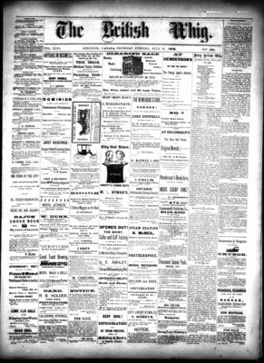 Daily British Whig (1850), 11 Jul 1878