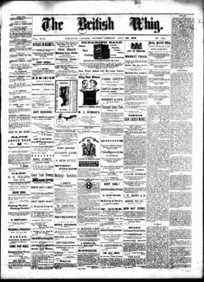 Daily British Whig (1850), 22 Jul 1878