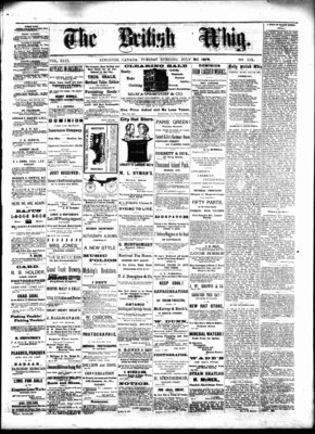 Daily British Whig (1850), 23 Jul 1878