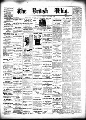 Daily British Whig (1850), 26 Jul 1878