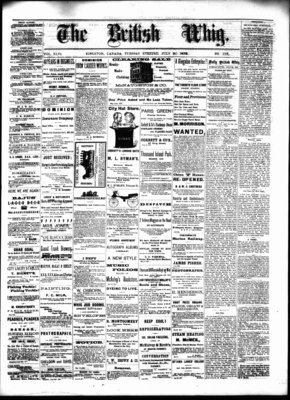 Daily British Whig (1850), 30 Jul 1878