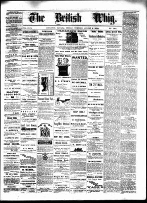 Daily British Whig (1850), 2 Aug 1878