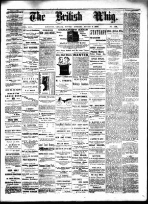 Daily British Whig (1850), 5 Aug 1878