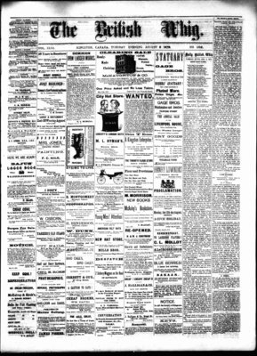 Daily British Whig (1850), 6 Aug 1878