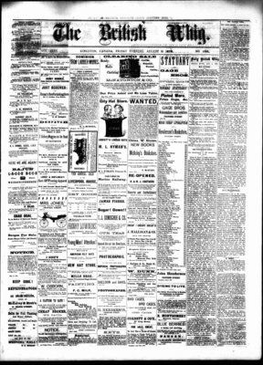 Daily British Whig (1850), 9 Aug 1878