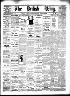 Daily British Whig (1850), 22 Aug 1878