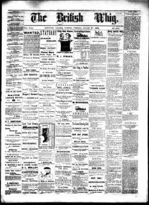 Daily British Whig (1850), 27 Aug 1878