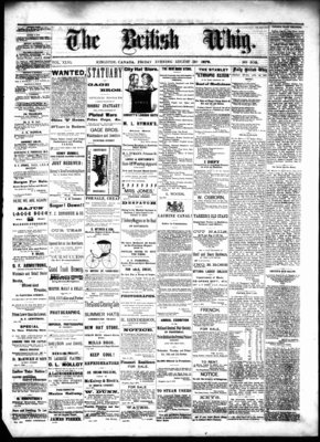 Daily British Whig (1850), 30 Aug 1878