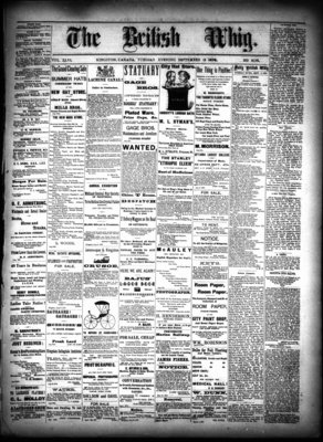 Daily British Whig (1850), 3 Sep 1878