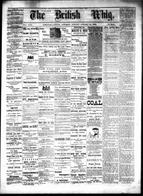 Daily British Whig (1850), 19 Oct 1878