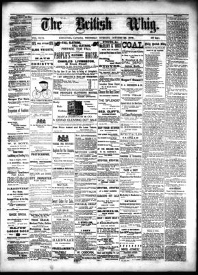 Daily British Whig (1850), 24 Oct 1878