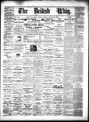 Daily British Whig (1850), 25 Oct 1878