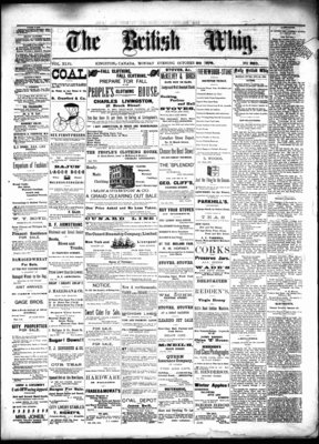 Daily British Whig (1850), 28 Oct 1878