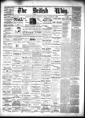 Daily British Whig (1850), 31 Oct 1878