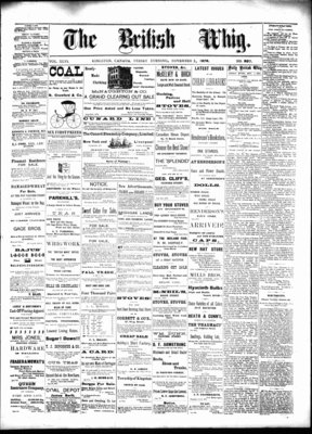 Daily British Whig (1850), 1 Nov 1878