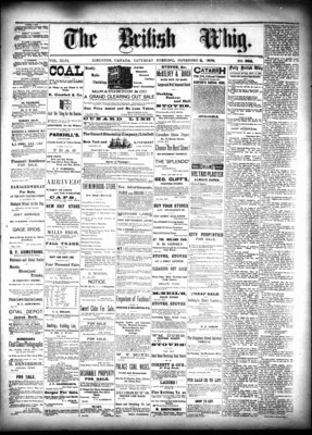 Daily British Whig (1850), 2 Nov 1878