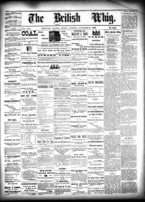 Daily British Whig (1850), 8 Nov 1878