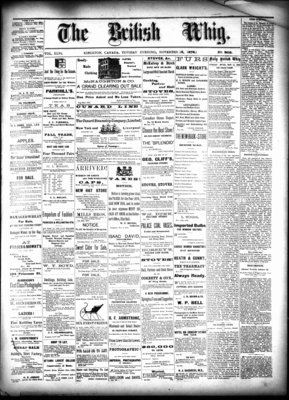 Daily British Whig (1850), 12 Nov 1878