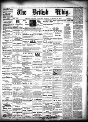 Daily British Whig (1850), 13 Nov 1878