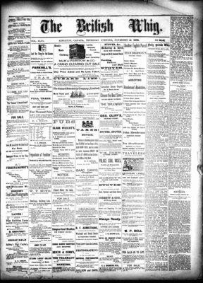 Daily British Whig (1850), 14 Nov 1878