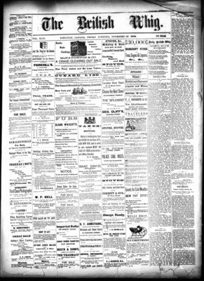 Daily British Whig (1850), 15 Nov 1878