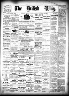 Daily British Whig (1850), 19 Nov 1878