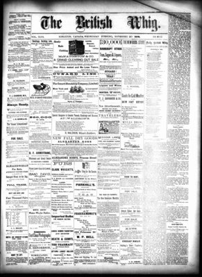 Daily British Whig (1850), 20 Nov 1878