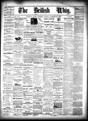 Daily British Whig (1850), 23 Nov 1878