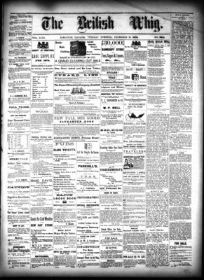 Daily British Whig (1850), 3 Dec 1878