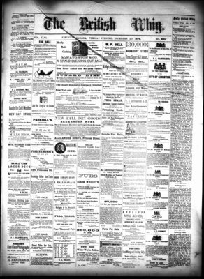 Daily British Whig (1850), 10 Dec 1878