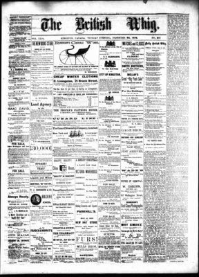 Daily British Whig (1850), 24 Dec 1878