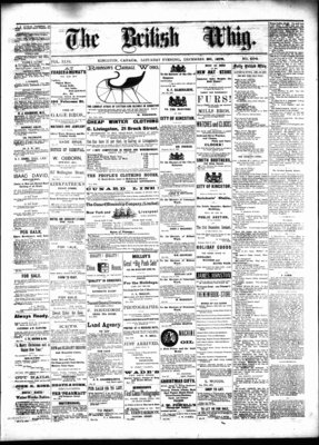 Daily British Whig (1850), 28 Dec 1878