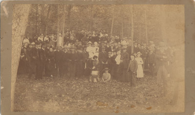 Picnic in Cornwall's Grove