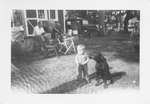 Boy and Dog on Grenadier Island