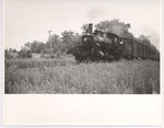Train Along the Brockville and Westport Railways