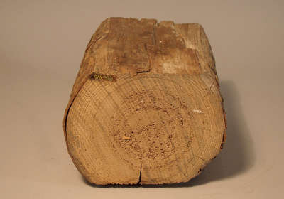 Log Portion from Log Cabin