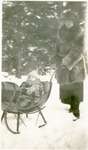 LH1330 Vera Morphy pushing son J. Denys Morphy in a sleigh