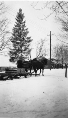 LH1419 Residences - Morphy - horse drawn sleigh