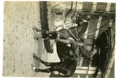 LH2866 Unidentified Male on Horseback