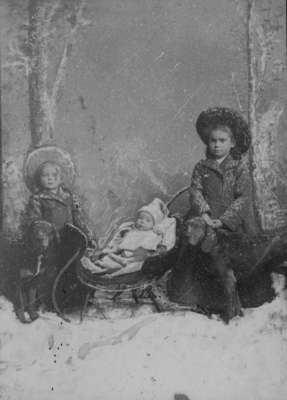 LH1356 Portrait of H. E. Morphy's children