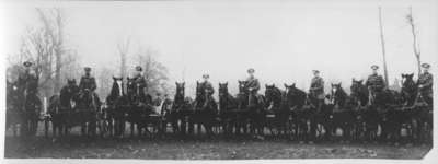 LH2163 Soldiers and horses in a field