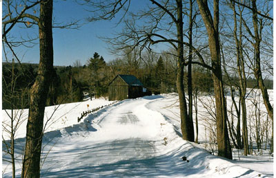 Shed on Beley Point Rd. - RF0013