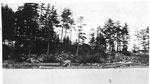 Logging at Pratt's Point, Lake Rosseau - Three - RI0063