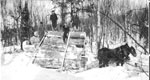 Logging at Morgan's Bay (Beachwood), Lake Rosseau - Giles, Beaumont, Mullen and Beley - RI0064